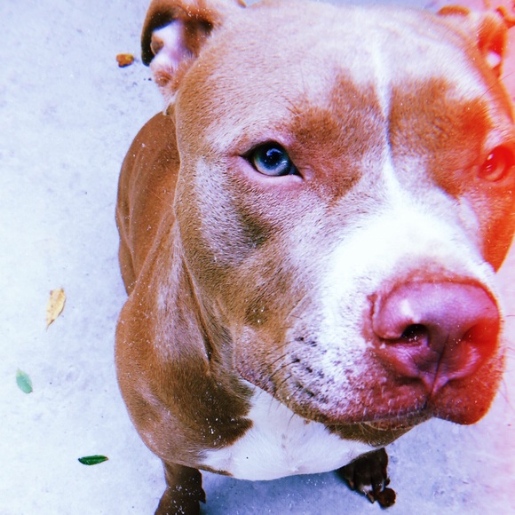 Meet your Posher, K - Picture 1 of 1